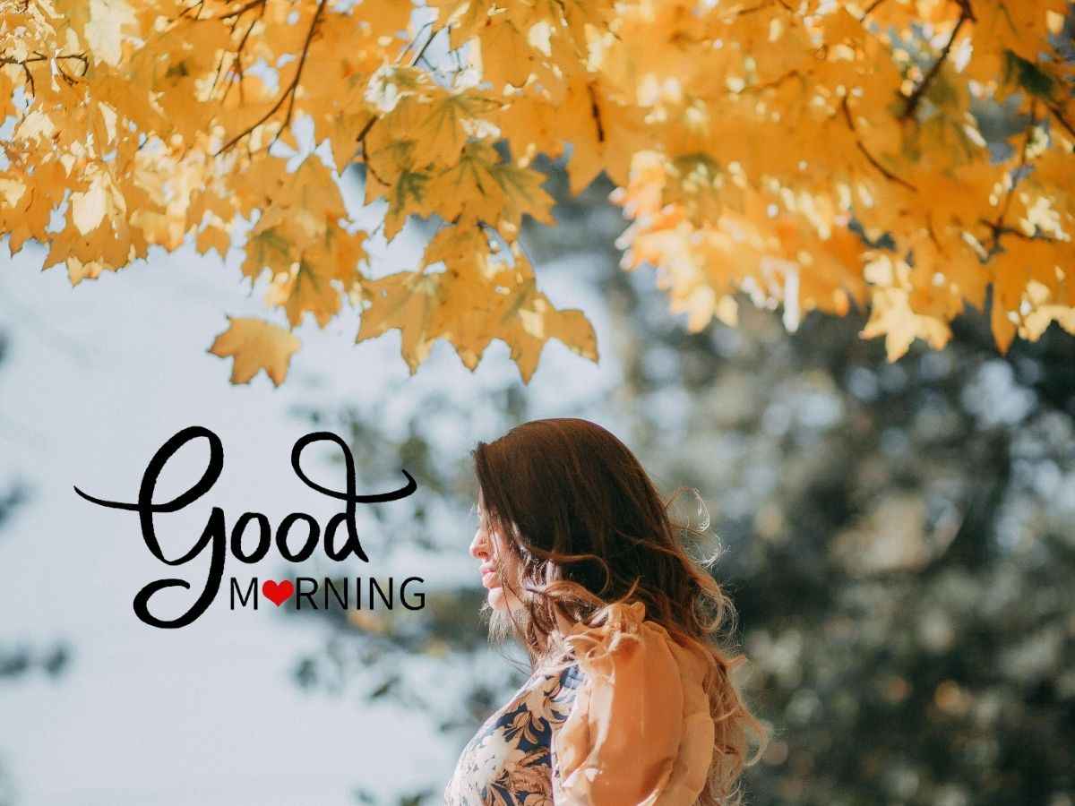 High definition autumn-themed wallpapers with a "good morning" message.