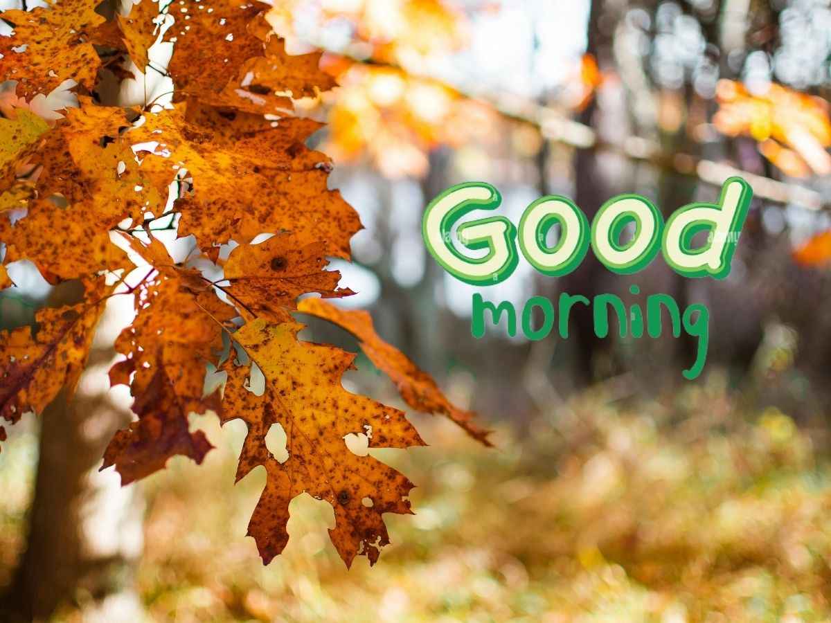 Autumn good morning images