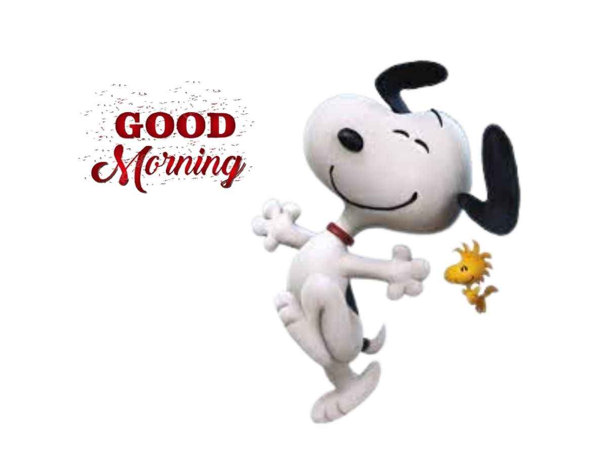 A cute snoopy snooping around in the morning, ideal for sharing as a free snoopy good morning image.