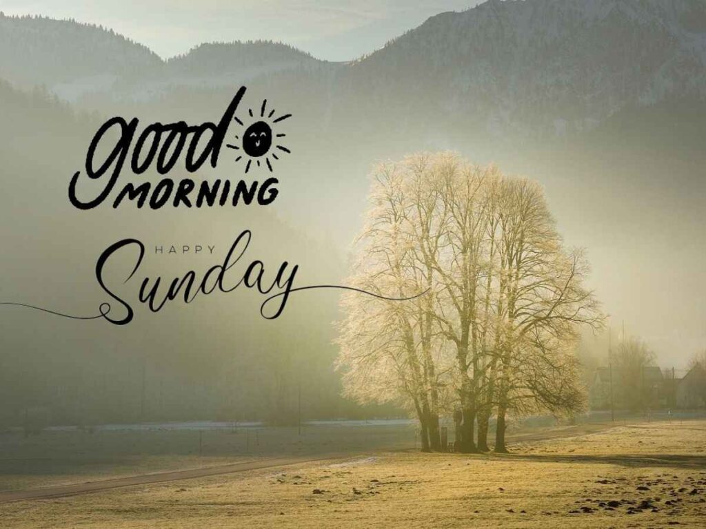 A serene landscape with the words "good sunday morning" written in elegant script against a backdrop of a sunny morning.