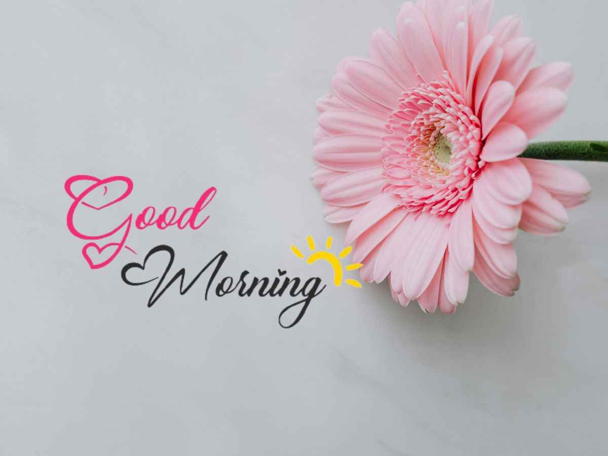 Images of good morning with roses