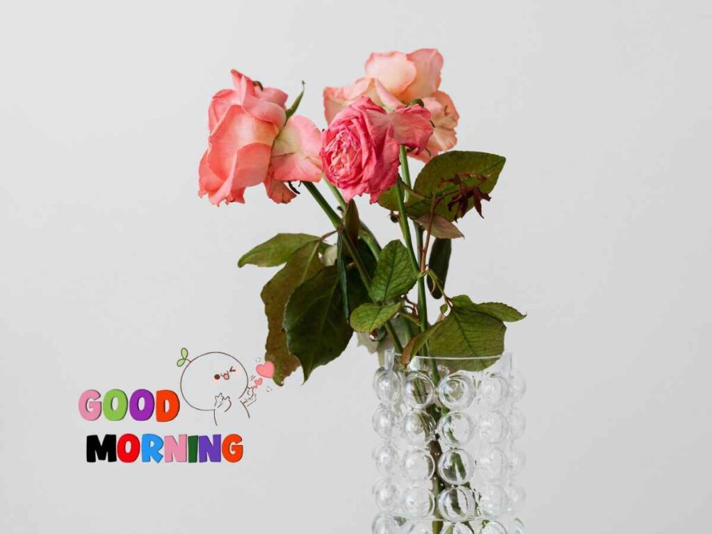 Start your day right with lovely good morning images adorned with vibrant roses, bringing a sense of freshness