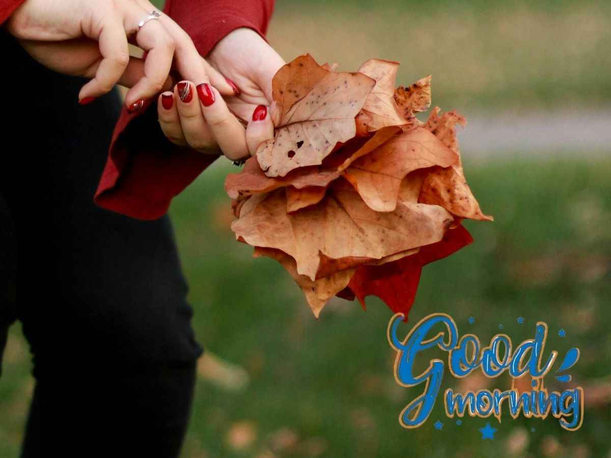 A picturesque scene of colorado autumn trees featuring the words "good morning" amidst colorful leaves.