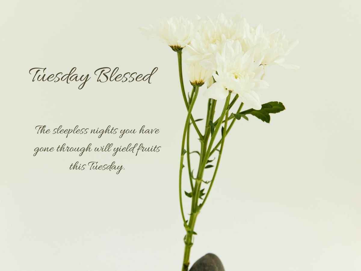 An artistic representation of a coin showing "Tuesday Blessed" on one side, symbolizing duality and perspective in life.